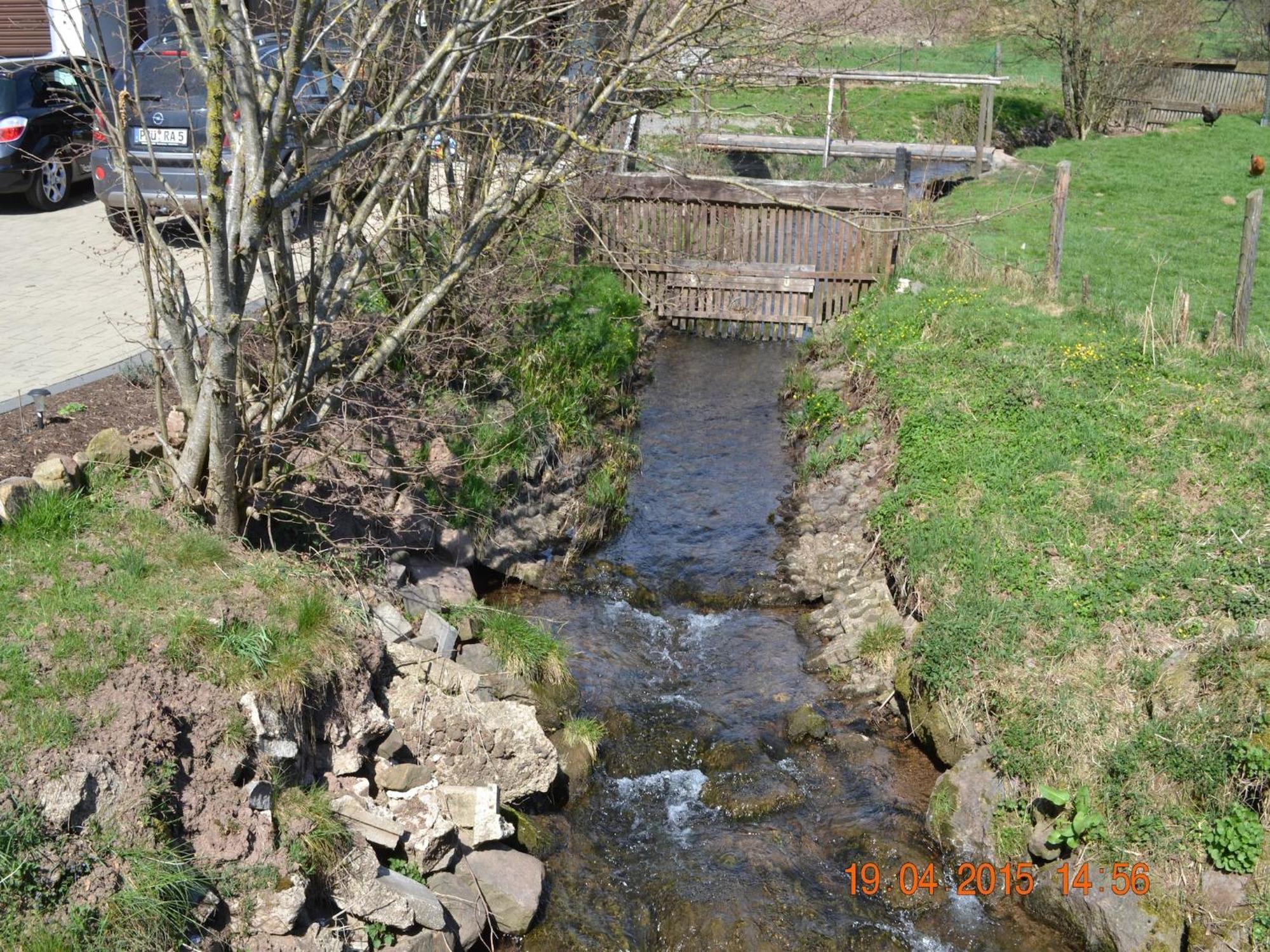 Quiet Apartment Along A Stream In Halenfeld Sellerich Экстерьер фото